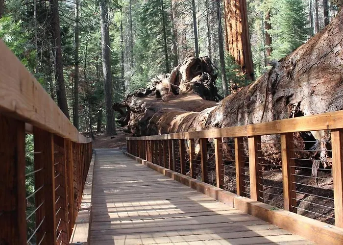 Shirley Creek Retreat: A Mountain Oasis