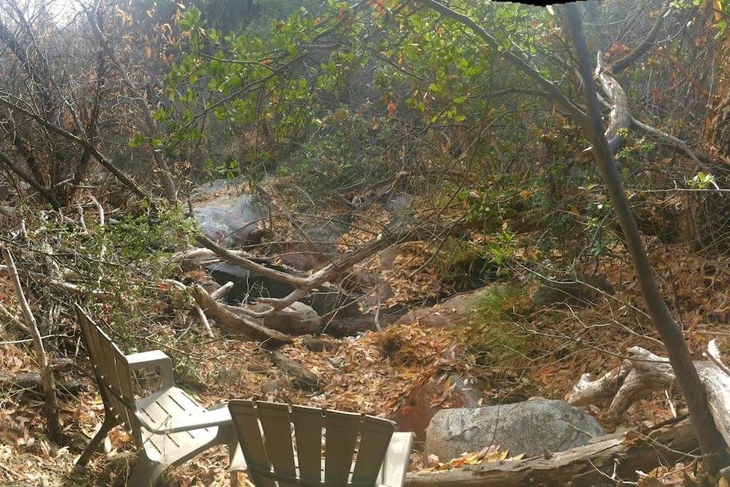 Shirley Creek Retreat: A Mountain Oasis Holiday home *